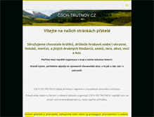 Tablet Screenshot of csch-trutnov.cz